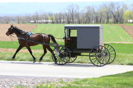 The Amish Farm and House