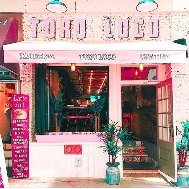 Toro Loco