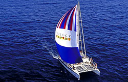 Trilogy Excursions