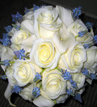 Fukushima Flowers